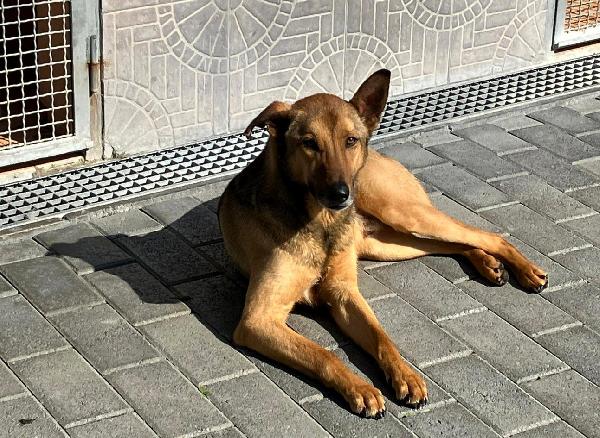 ULISSE TIMIDONE Foto 4